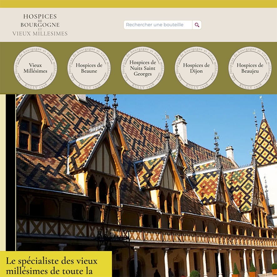 site hospicesdebourgogne.com